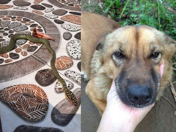 Ảnh bìa bài viết 745592