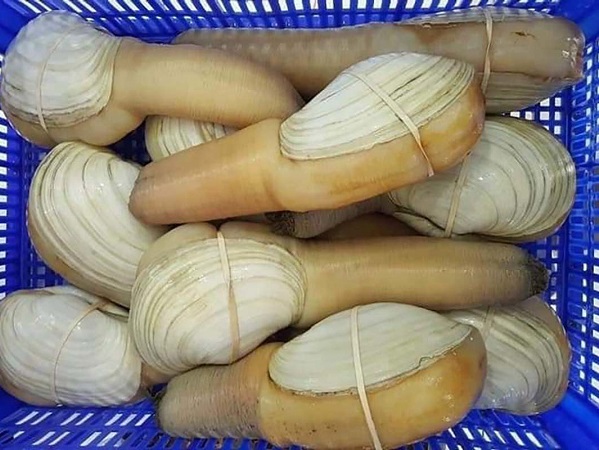 Ảnh bìa bài viết 746642