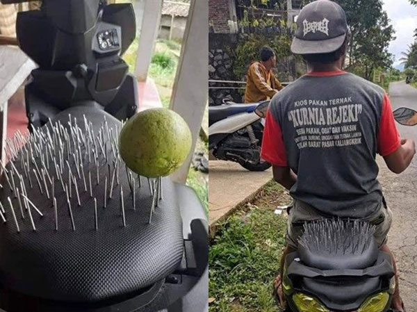 Ảnh bìa bài viết 747024