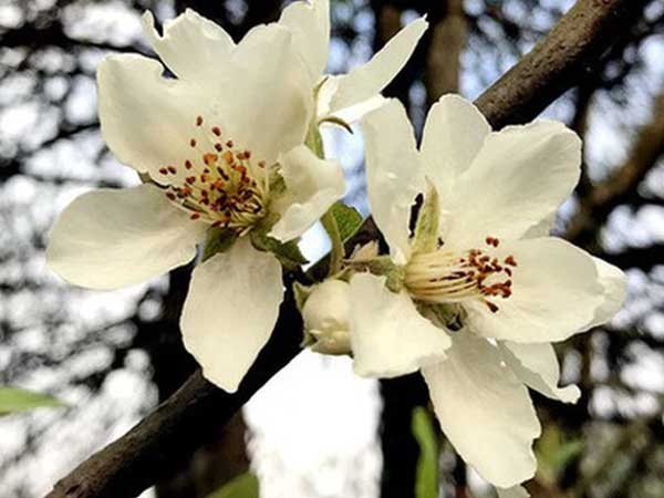 Ảnh bìa bài viết 747070