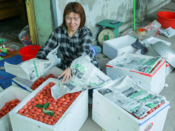 Ảnh bìa bài viết 747585