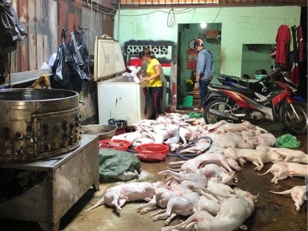 Ảnh bìa bài viết 748563