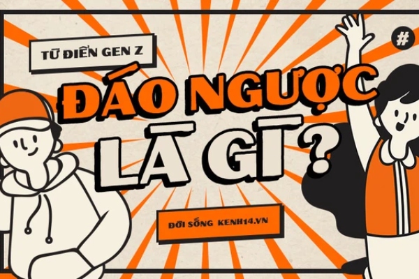 Ảnh bìa bài viết 749724