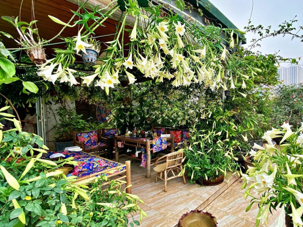 Ảnh bìa bài viết 750136