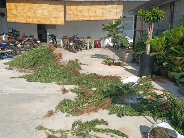 Ảnh bìa bài viết 750026