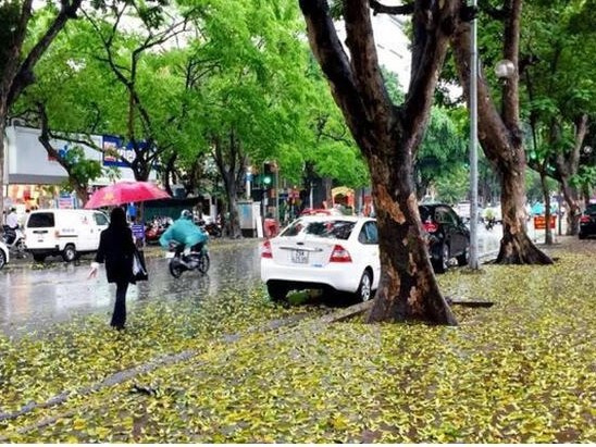 Ảnh bìa bài viết 751302
