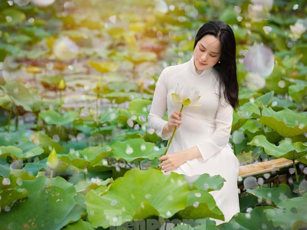 Ảnh bìa bài viết 752621