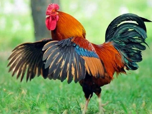 Ảnh bìa bài viết 752843