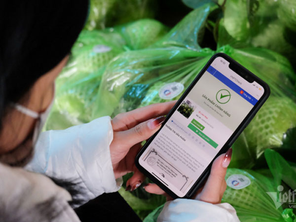 Ảnh bìa bài viết 753842