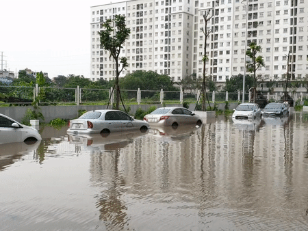 Ảnh bìa bài viết 754228