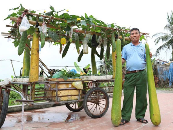 Ảnh bìa bài viết 754672