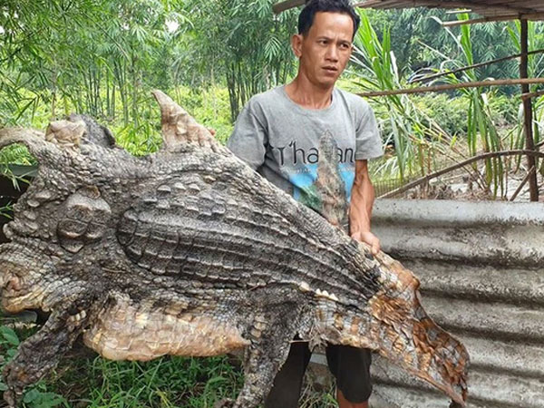 Ảnh bìa bài viết 754842