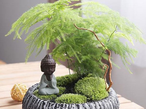 Ảnh bìa bài viết 755944