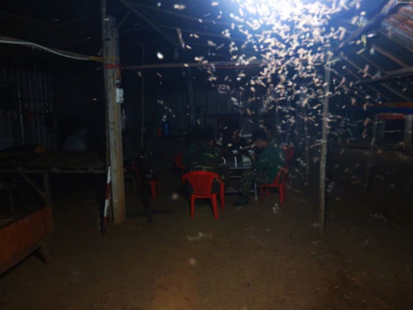 Ảnh bìa bài viết 757814