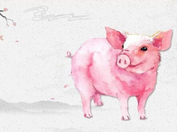 Ảnh bìa bài viết 757878