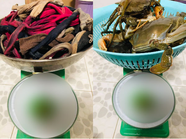 Ảnh bìa bài viết 758910