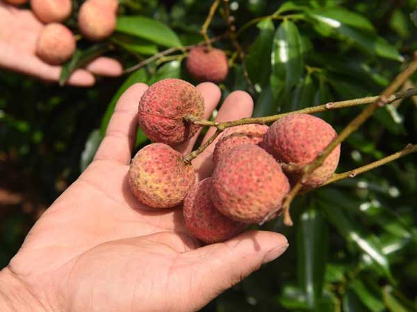 Ảnh bìa bài viết 758871