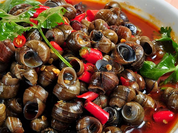 Ảnh bìa bài viết 759422