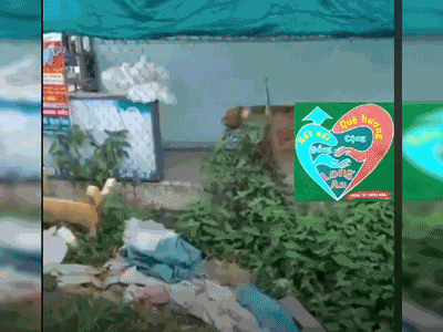 Ảnh bìa bài viết 759610
