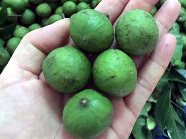Ảnh bìa bài viết 759589