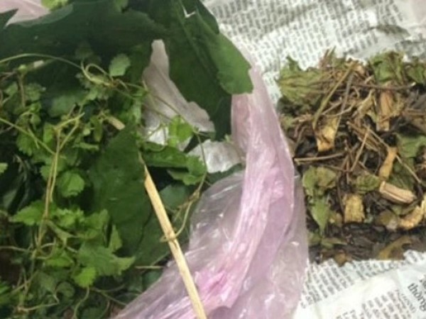 Ảnh bìa bài viết 760195