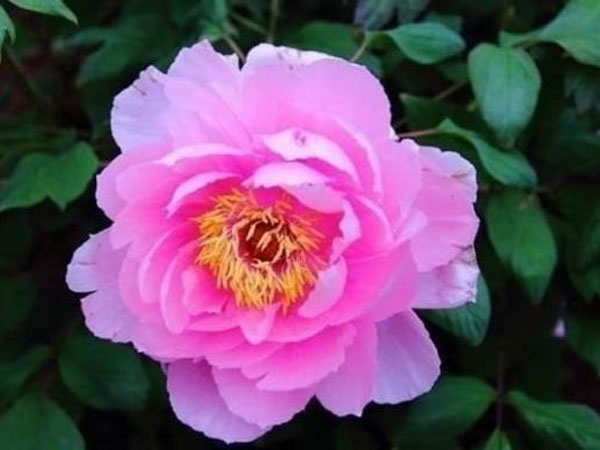 Ảnh bìa bài viết 760916