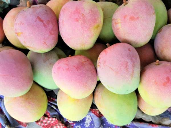 Ảnh bìa bài viết 761886