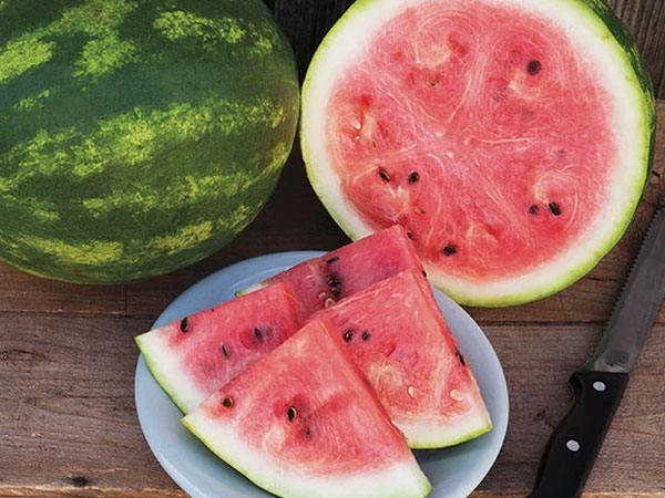 Ảnh bìa bài viết 764511