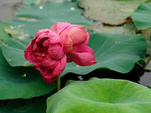 Ảnh bìa bài viết 764783