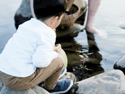 Ảnh bìa bài viết 764901