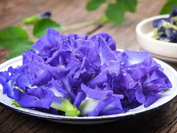 Ảnh bìa bài viết 765226