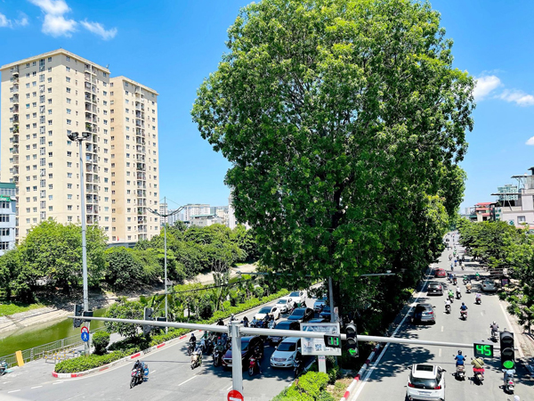 Ảnh bìa bài viết 765384