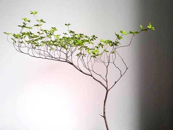 Ảnh bìa bài viết 765230