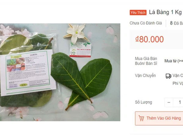 Ảnh bìa bài viết 765905