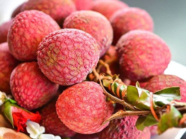 Ảnh bìa bài viết 765901