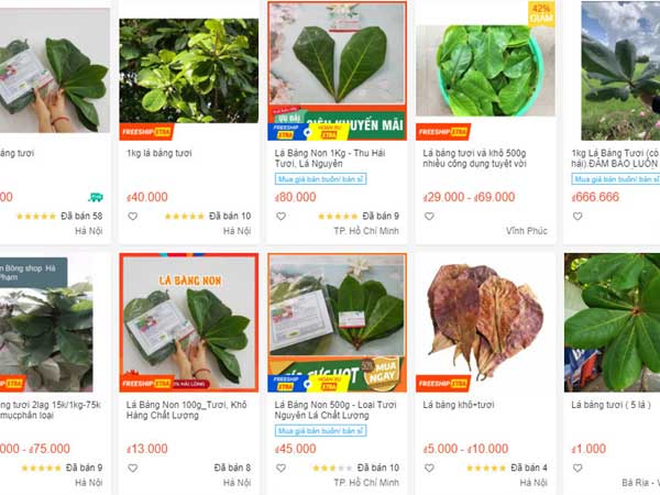Ảnh bìa bài viết 766501