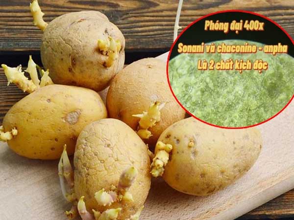 Ảnh bìa bài viết 767960