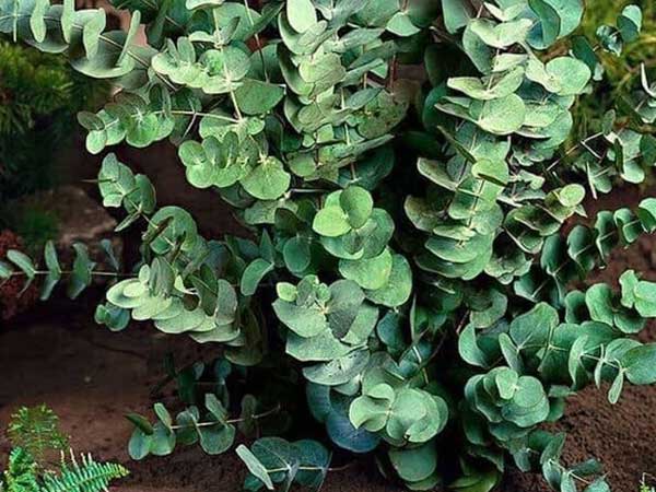 Ảnh bìa bài viết 768475