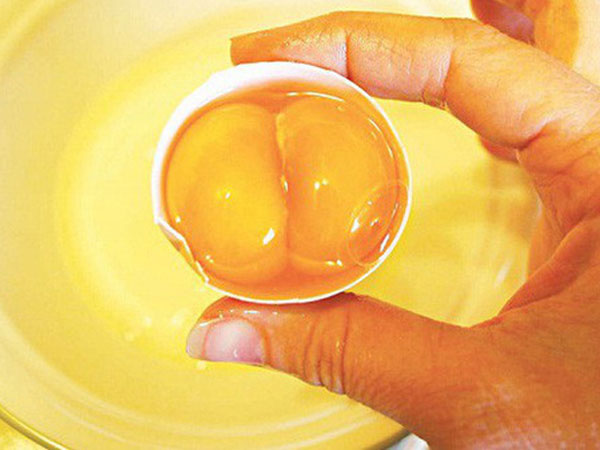 Ảnh bìa bài viết 768674