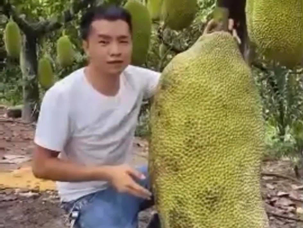 Ảnh bìa bài viết 768793