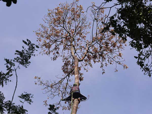 Ảnh bìa bài viết 769338