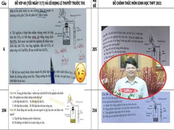 Ảnh bìa bài viết 770974