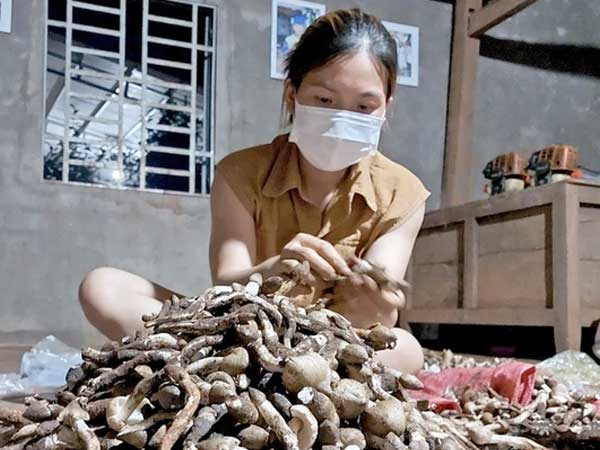 Ảnh bìa bài viết 771171