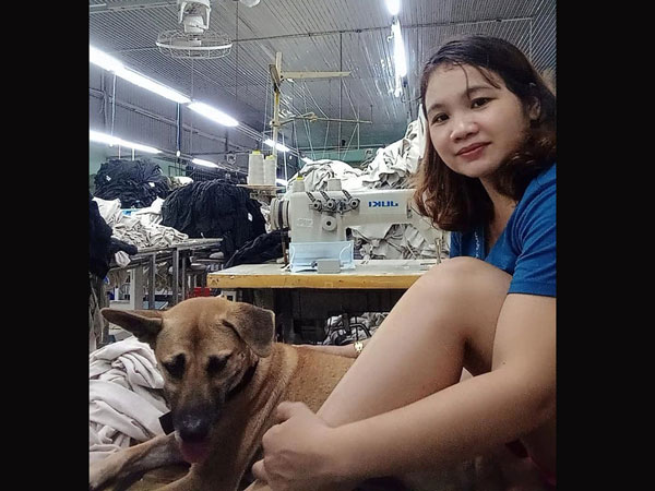 Ảnh bìa bài viết 771801