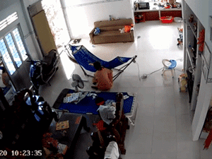 Ảnh bìa bài viết 771926