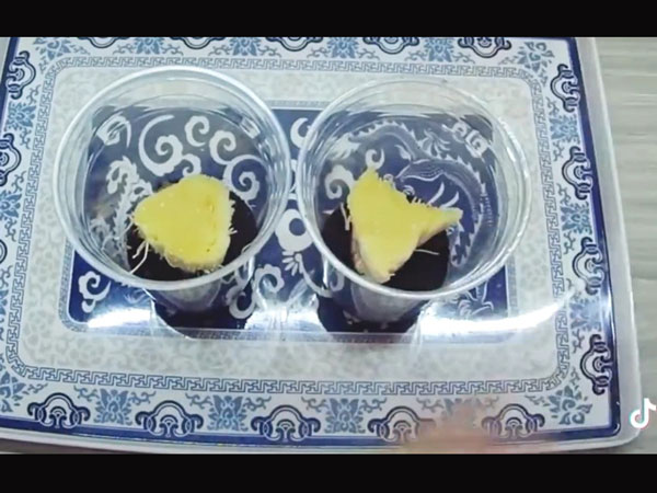 Ảnh bìa bài viết 772255