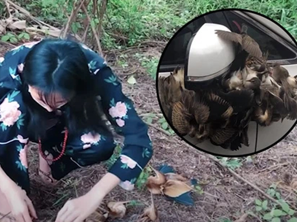 Ảnh bìa bài viết 772594