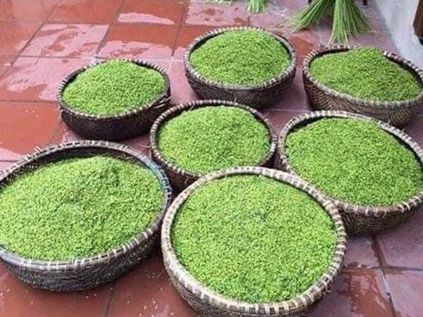 Ảnh bìa bài viết 772391