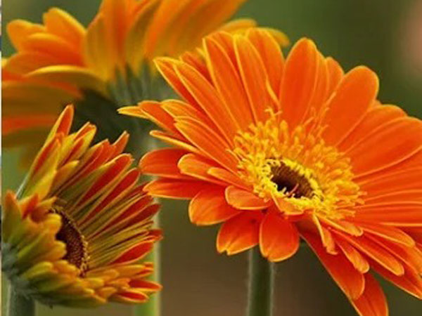 Ảnh bìa bài viết 774372