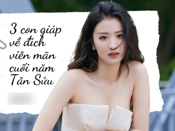 Ảnh bìa bài viết 775746